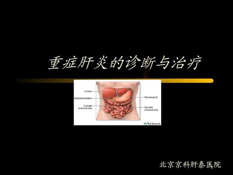 重症肝炎的诊断与治疗_北京肝病医院_图文.ppt.ppt_第1页