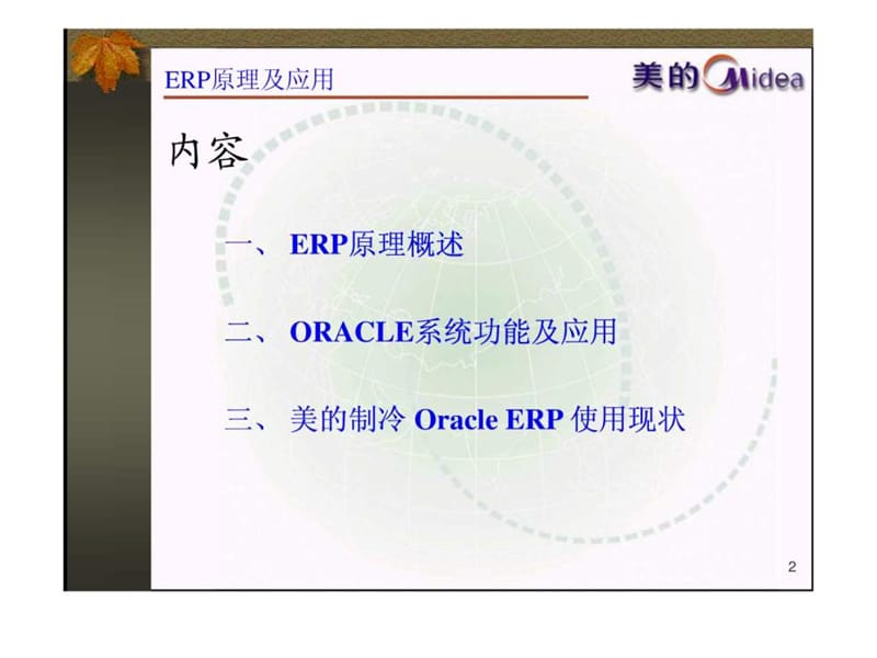 ERP原理及应用.ppt_第2页