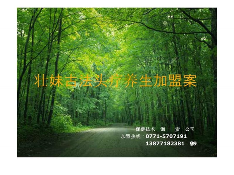 头疗休闲养生项目加盟方案.ppt.ppt_第1页