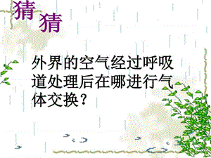 七年级下册 第四单元 第三章 第二节 发生在肺内的气.ppt