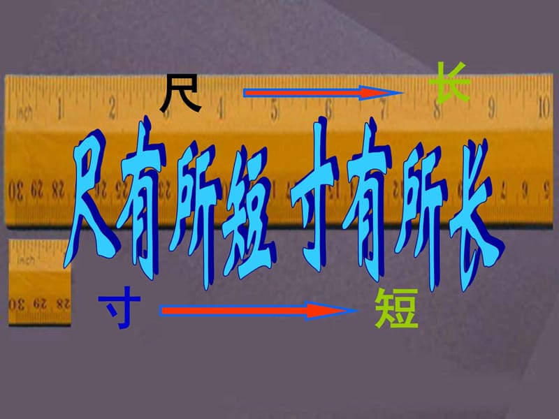 人教版 四年级上册语文28《尺有所短寸有所长》_图文.ppt.ppt_第2页