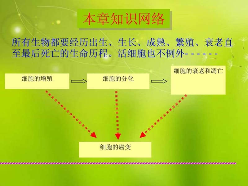 高中生物《第六章 第一节 细胞的增殖》课件 新人教版必.ppt_第2页