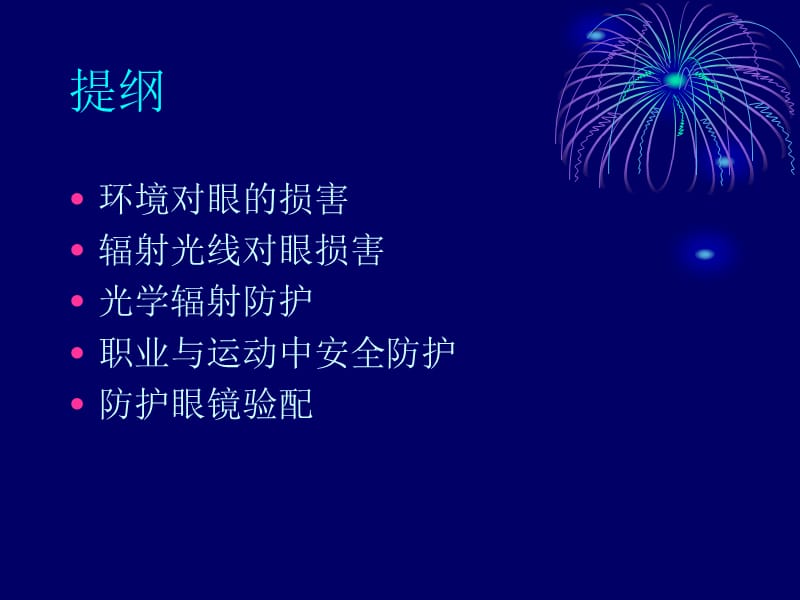 眼镜与安全防护.ppt_第2页