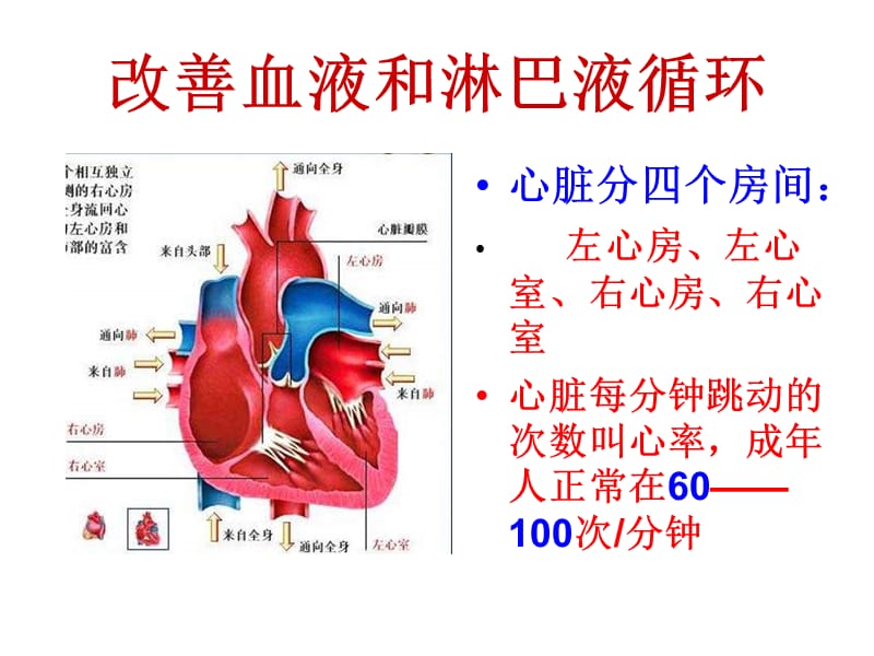 改善血液和淋巴液循环ppt课件.ppt_第3页