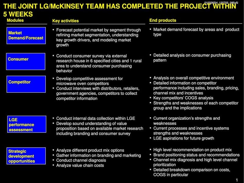 麦肯锡天津LG发展战略咨询报告(英文).ppt_第2页