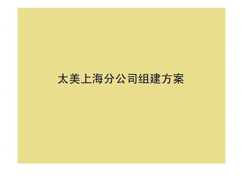 太美上海分公司组建方案.ppt.ppt_第1页