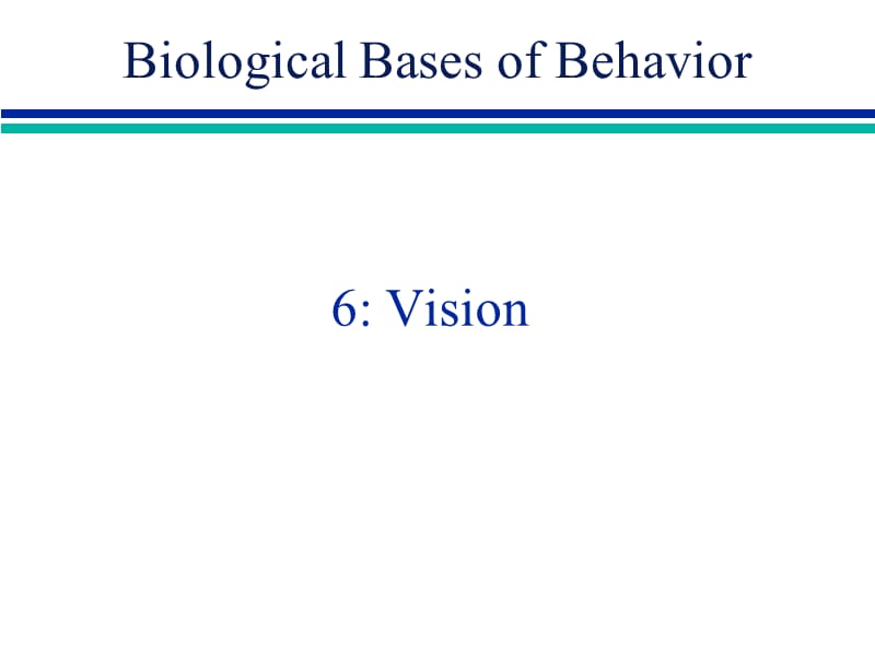 Vision - Florida Atlantic University视觉-佛罗里达大西洋大学.ppt_第1页