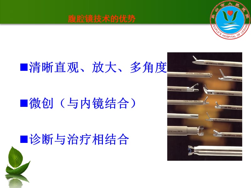 腹腔镜技术在腹部相关疾病中的应用ppt课件.ppt_第3页