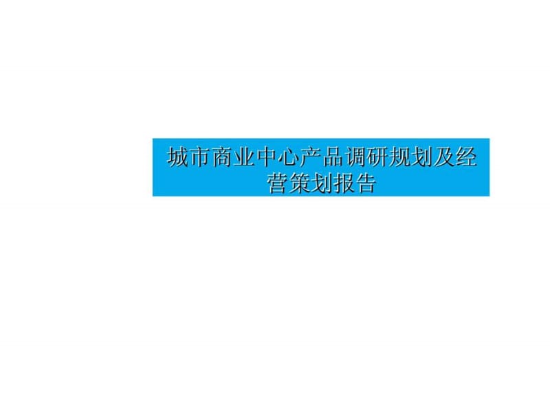 临沂城市商业中心产品调研规划及经营策划报告.ppt_第1页