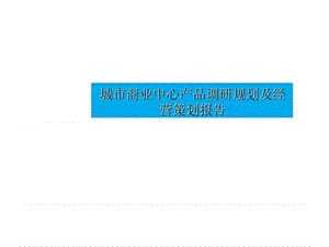 临沂城市商业中心产品调研规划及经营策划报告.ppt