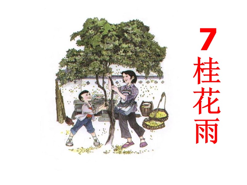 桂花雨课件 (2).ppt_第2页