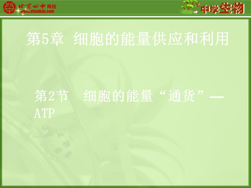 细胞中的能量供应和利用.ppt_第1页