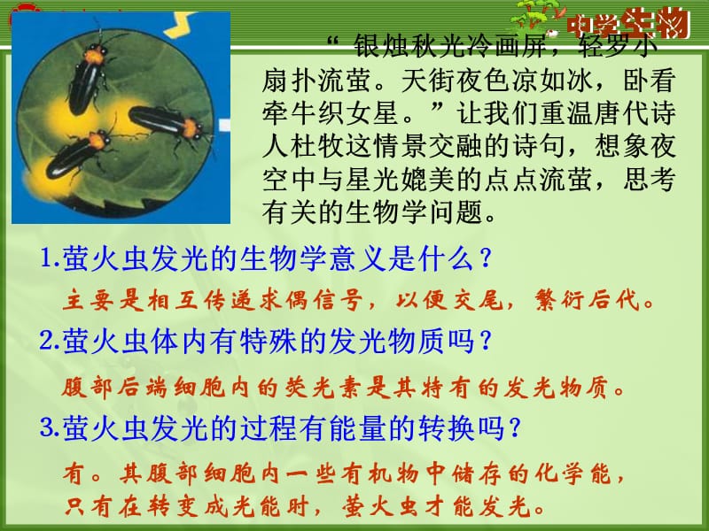 细胞中的能量供应和利用.ppt_第2页