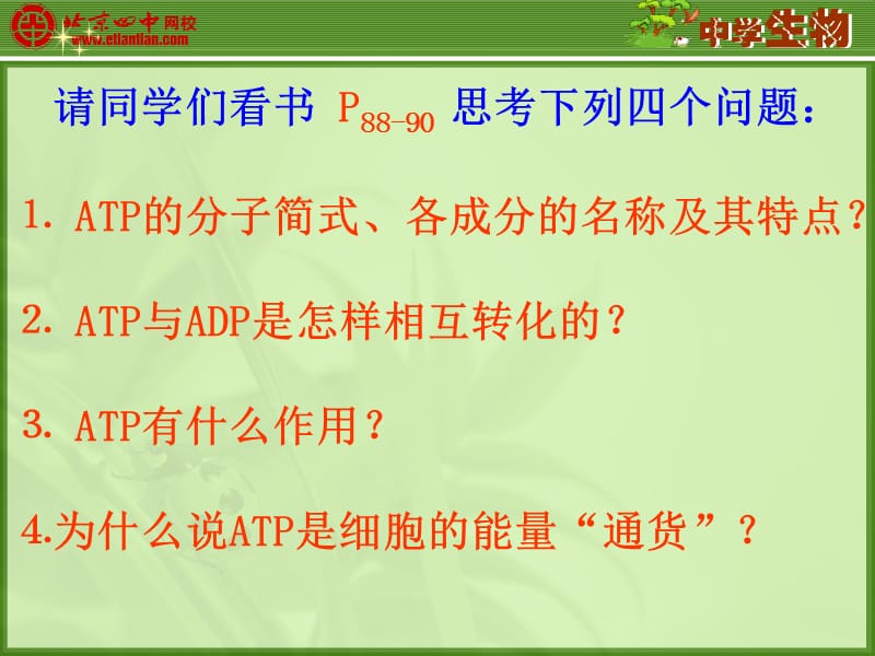 细胞中的能量供应和利用.ppt_第3页