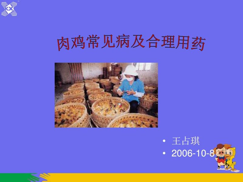 肉鸡常见病t演示文稿.ppt_第1页