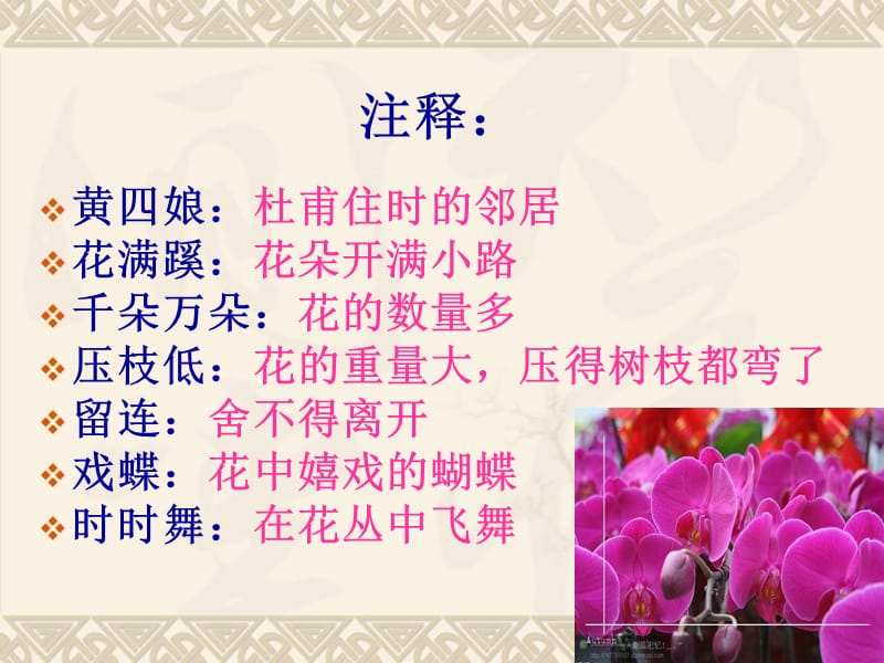 《江畔独步寻花》课件.ppt_第3页