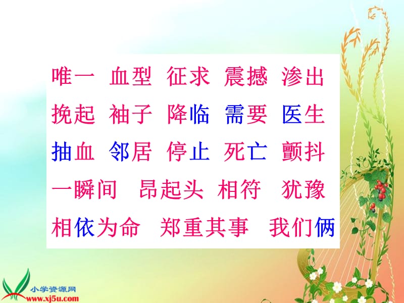 《平分生命》PPT课件.ppt_第3页