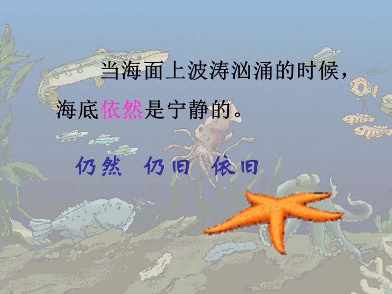 海底世界课件.ppt_第3页