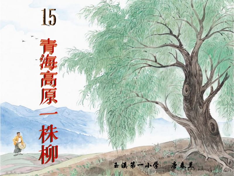 15、青海高原一株柳.ppt_第1页