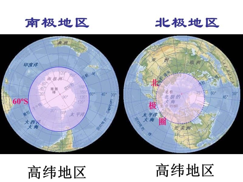 胡萝卜--第十章--《极地地区》.ppt_第2页