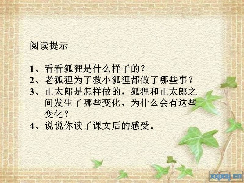 《金色的脚印》教学课件.ppt_第2页