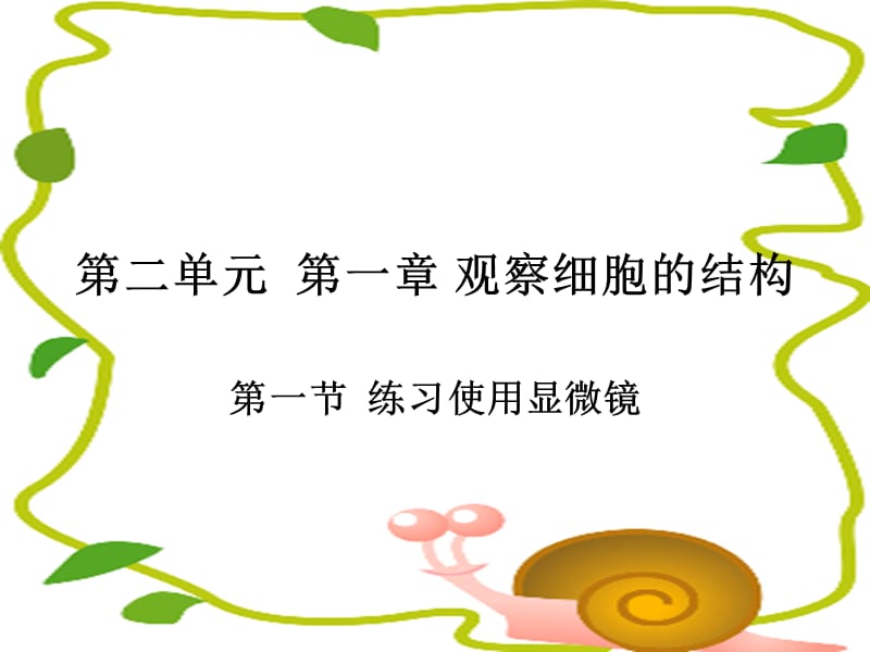 生物：第二单元第一章第一节练习使用显微镜课件(人教版七年级上).ppt_第2页