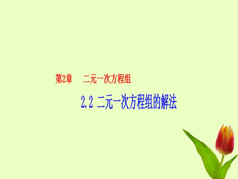 湖南省邵阳五中七年级数学《2.2二元一次方程组的解法》课件2湘教版.ppt_第1页