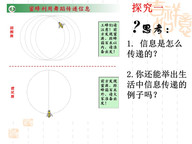 生态系统的信息传递.ppt.ppt_第3页