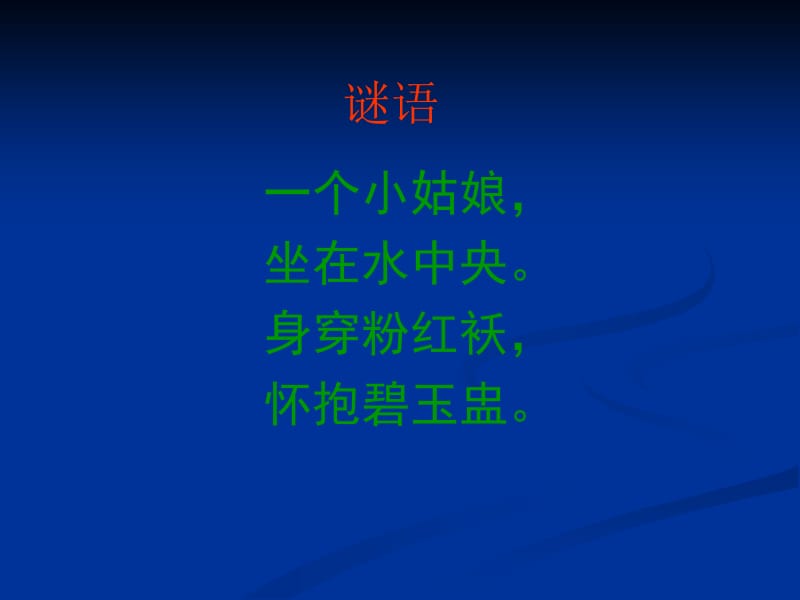 苏教版小学三年级语文下册《荷花》PPT课件.ppt_第2页