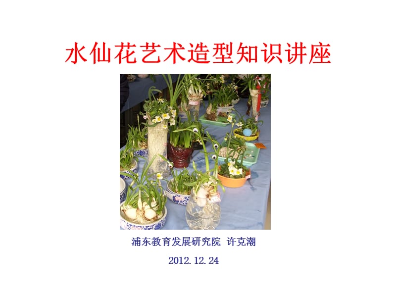 水仙花艺术造型知识讲座.ppt_第1页