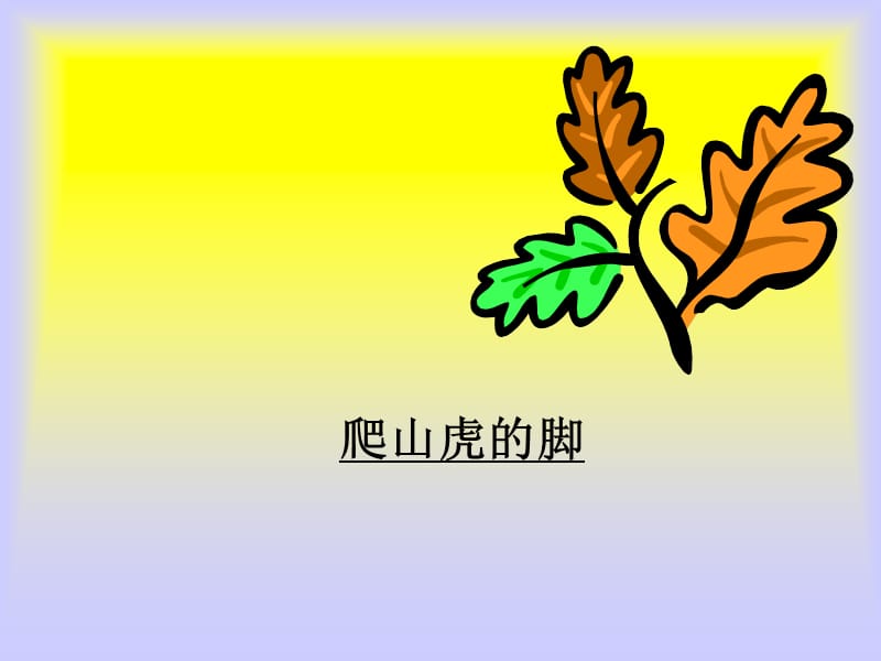 《爬山虎的脚》ppt课件6.ppt_第1页