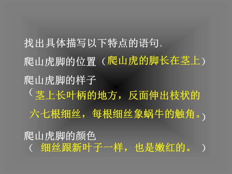 《爬山虎的脚》ppt课件6.ppt_第3页