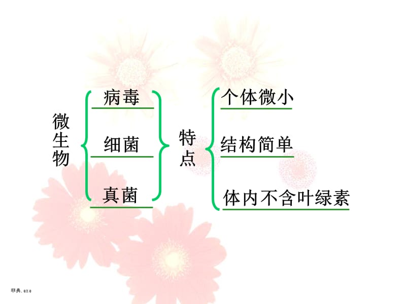 神奇的微生物.ppt_第1页