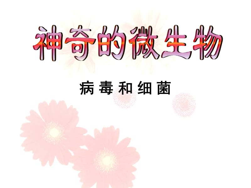 神奇的微生物.ppt_第2页