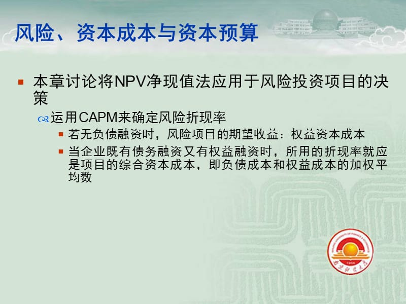 公司理财罗斯第八版风险资本成本与资本预算.ppt_第2页