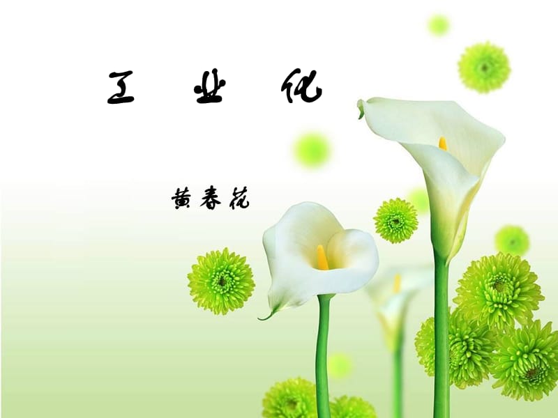 工业化黄春花.ppt_第1页