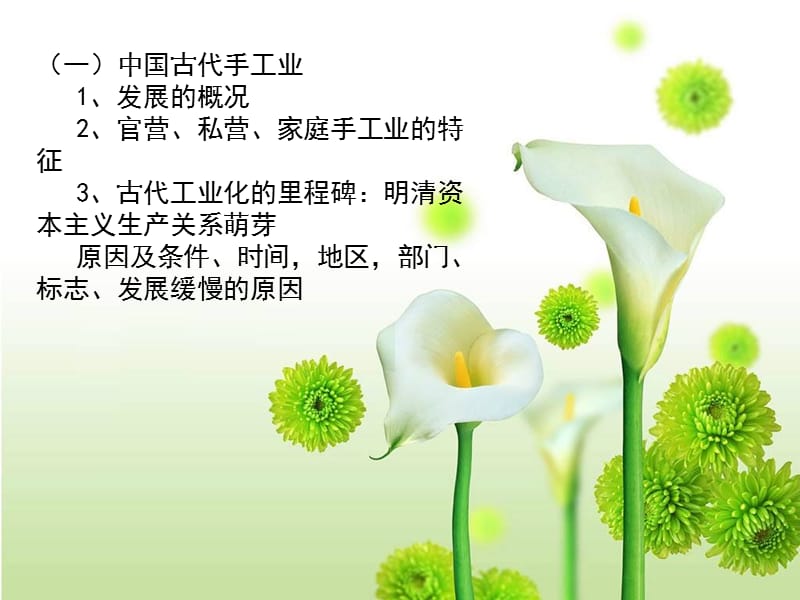 工业化黄春花.ppt_第3页