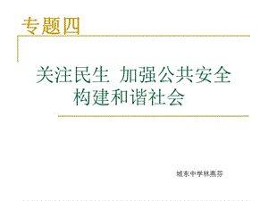 关注民生加强公共安全构建和谐社会.ppt