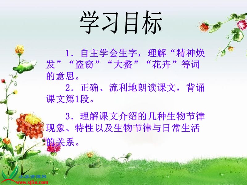 17《有趣的生命时钟》PPT课件.ppt_第2页