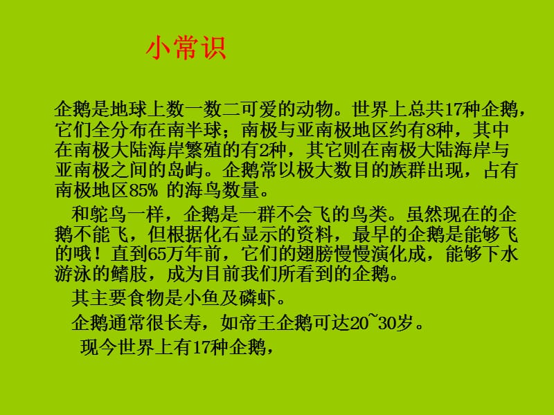 10《企鹅爸爸》.ppt_第2页