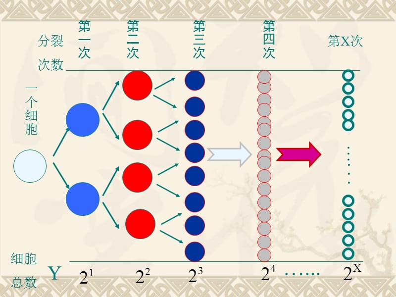 《指数函数》课件上课用.ppt_第2页