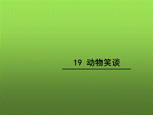 《第19课动物笑谈》.ppt