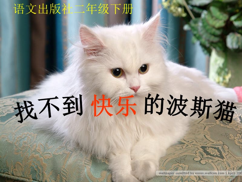 《找不到快乐的波斯猫》课件(语文S版二年级下册课件)用.ppt_第1页