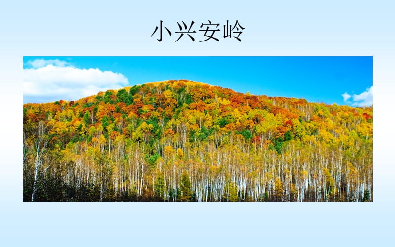 美丽的小兴安岭.zip.ppt_第3页