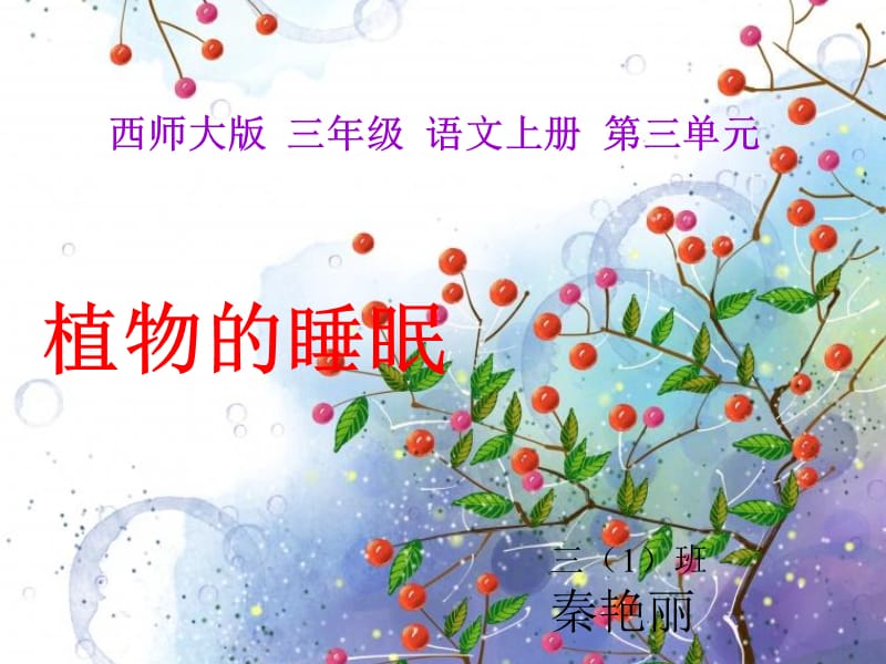 《植物的睡眠》教学课件.ppt_第1页