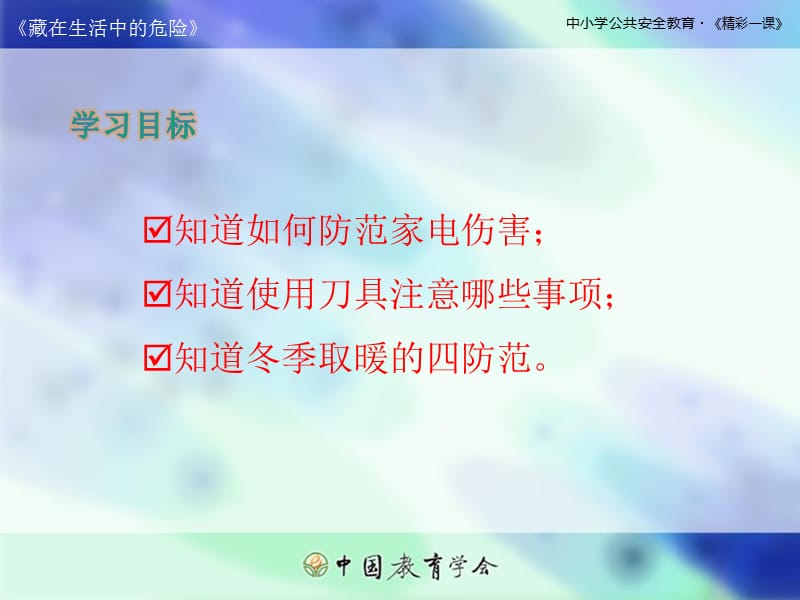 生活中的安全隐患.ppt_第2页