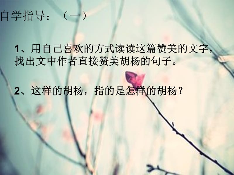 胡杨赞PPT (3).ppt_第3页