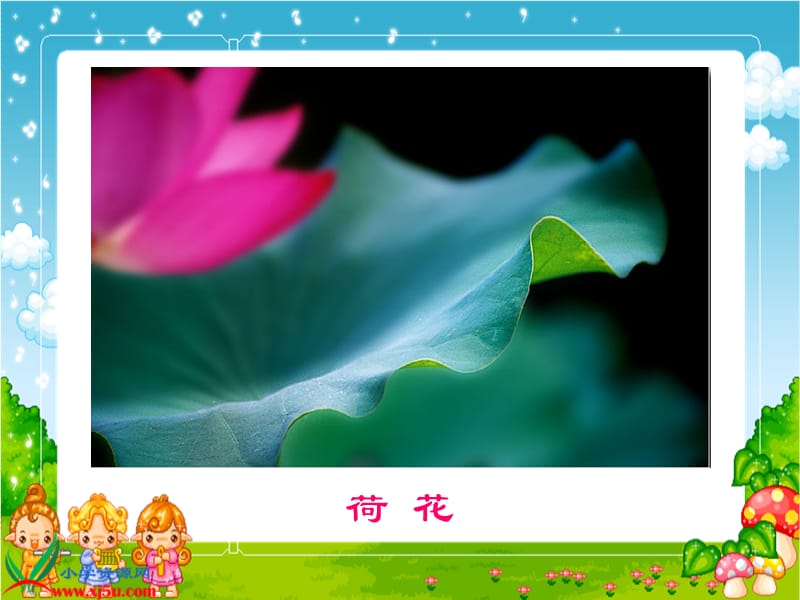 《莲叶青青》课件3.ppt_第3页