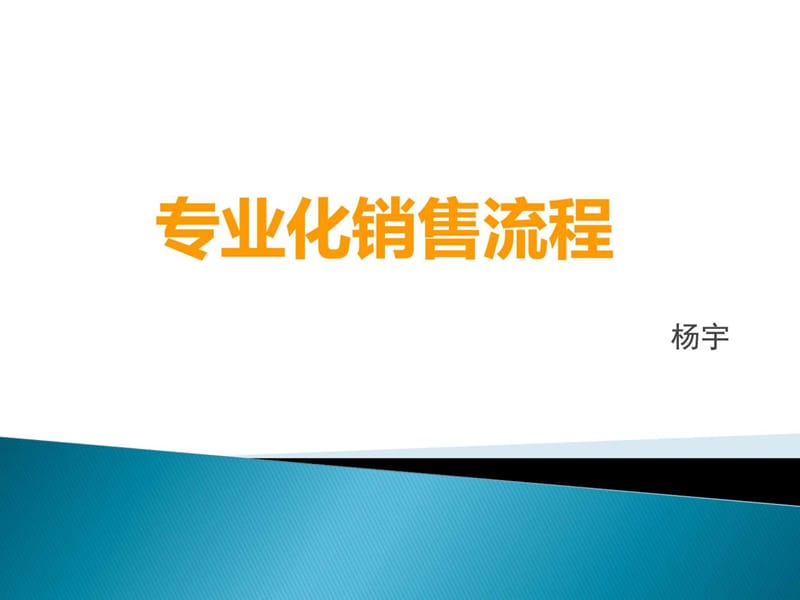 《专业化销售流程》PPT课件.ppt_第1页