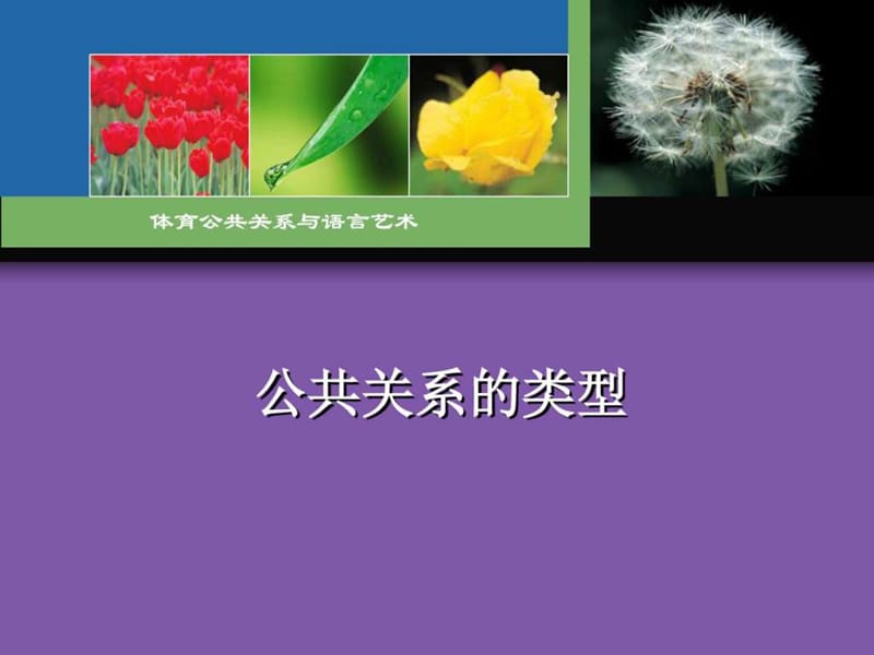 公关的类型_图文.ppt.ppt_第1页